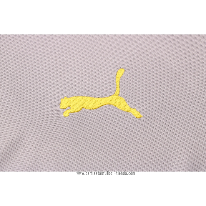 Chandal de Sudadera del Borussia Dortmund 2021 2022 Gris